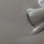 Image du produit précédent