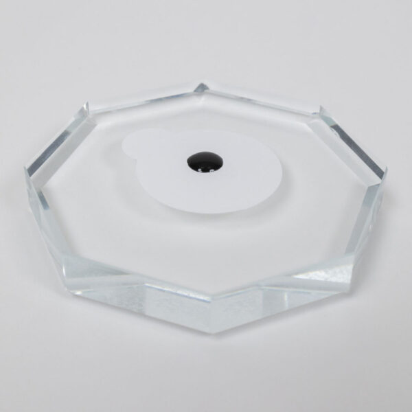 Colle à cils - La constante