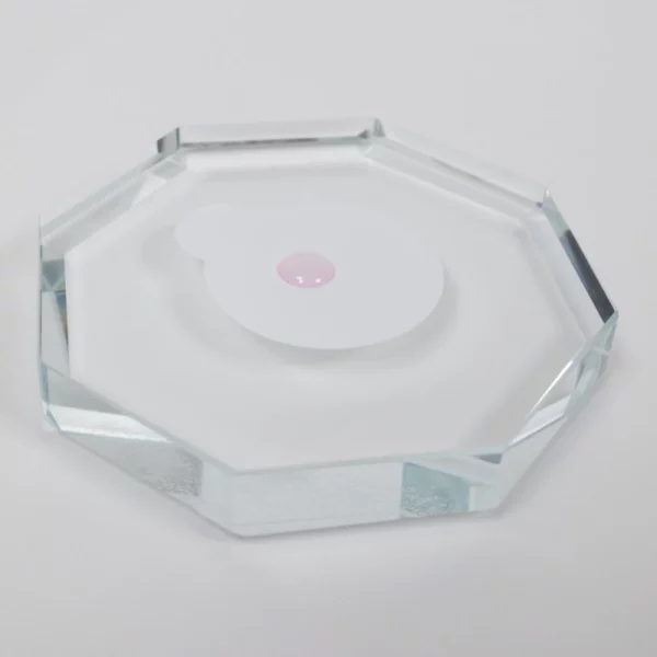 Colle à cils - La première