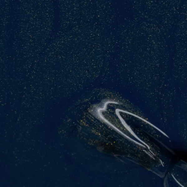 Cool Colors 044 - Deep Blue