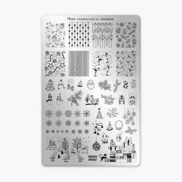 Plaque 101 - Wintertime