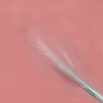 Image du produit précédent