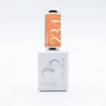 Image du produit suivant