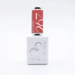 Image du produit précédent