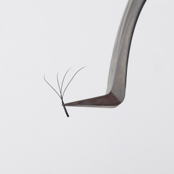 Bouquets préfaits - Fairy - Mix - Courbure C, Bouquets - 4D