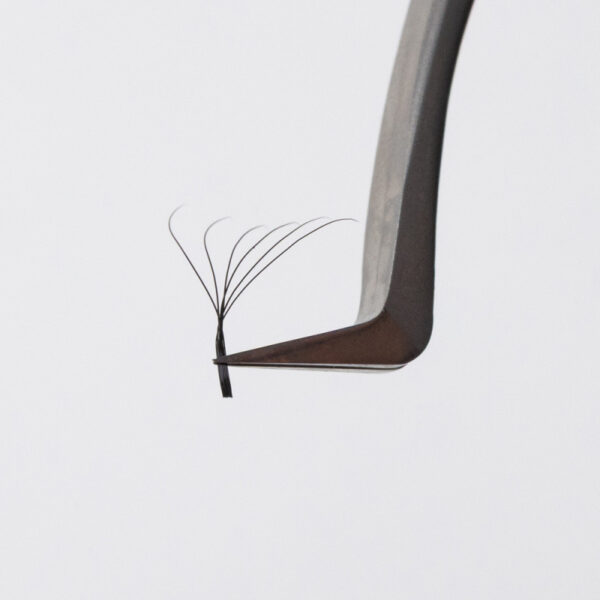 Bouquets préfaits - Fairy - Mix - Courbure C, Bouquets - 6D