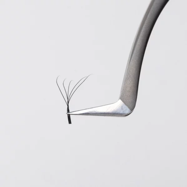 Bouquets préfaits - Fairy - Mix - Courbure C, Bouquets - 5D